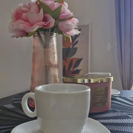 Elite 5 Jezyce- Baranczaka 5 * פוזנן