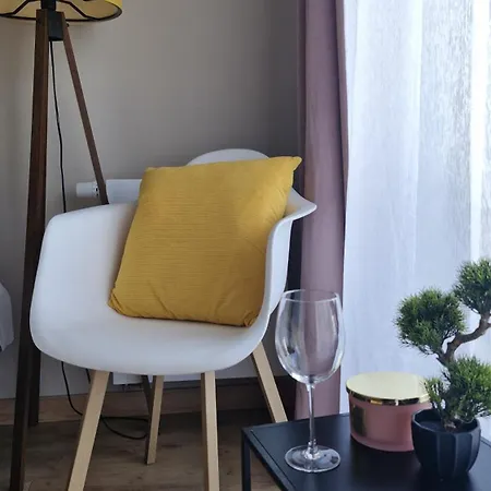 Elite 5 Jezyce- Baranczaka 5 פוזנן