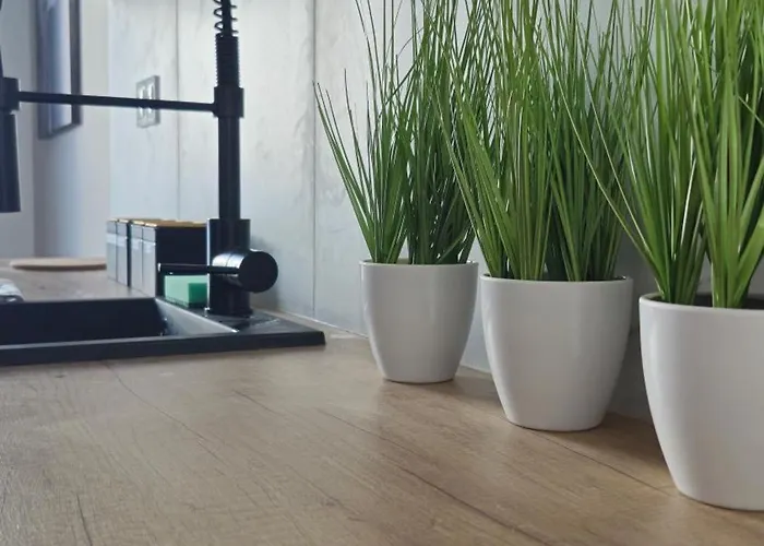 Elite 5 Jeżyce- Barańczaka 5