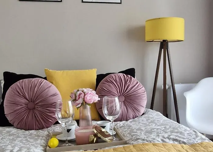 Apartament Elite 5 Jeżyce- Barańczaka 5 *