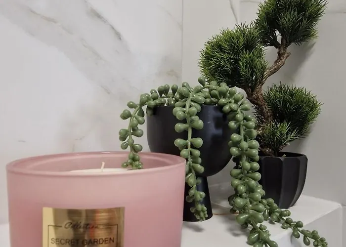 Elite 5 Jeżyce- Barańczaka 5 Apartament *