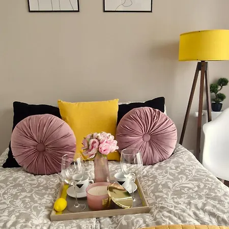 Apartment Elite 5 Jezyce- Baranczaka 5 *