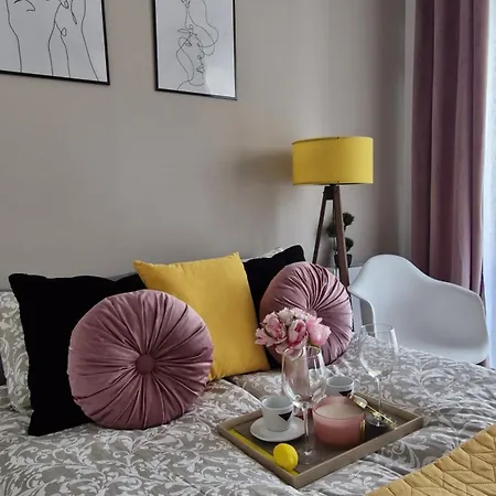 Elite 5 Jezyce- Baranczaka 5 *