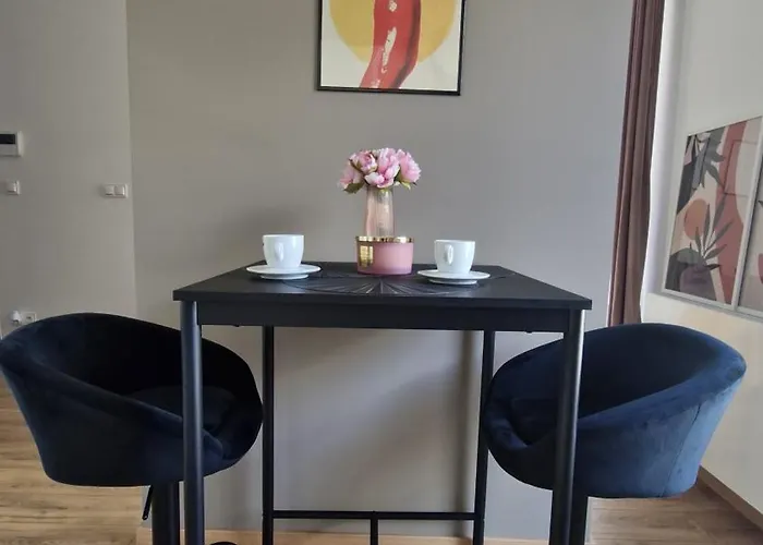 Apartment Elite 5 Jezyce- Baranczaka 5 *